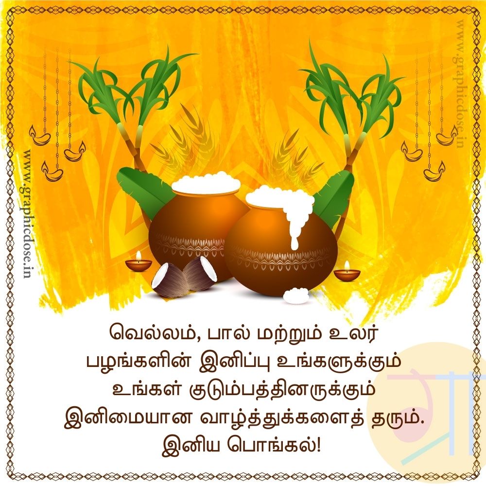 pongal wishes in tamil greetings
