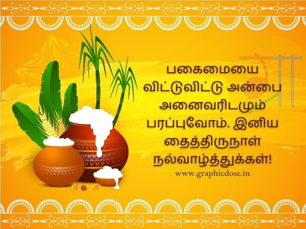 pongal wishes in tamil
